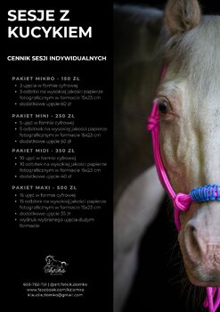 Sesja z kucykiem