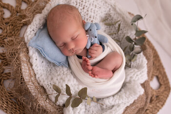 STUDIO LUBLINIEC -  Sesja Noworodkowa ♥