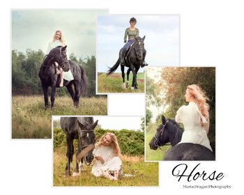 Horse Session