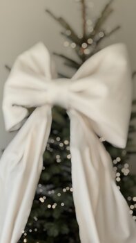 LIMITOWANE SESJE ŚWIĄTECZNE 'Christmas Chic'
