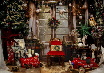 Christmas Studio Mini Session 2024