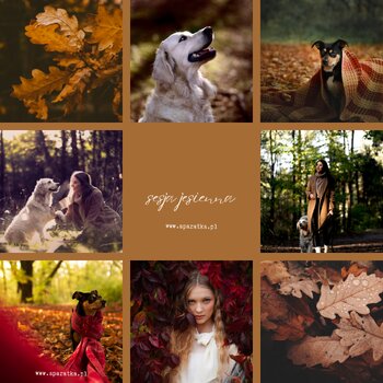 🍂🍂🍂 Sesja jesienna 🍂🍂🍂