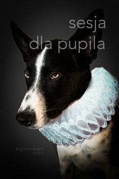 Dla pupila / Z pupilem | vouchery