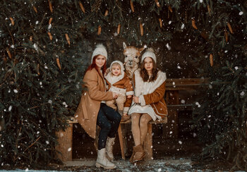 Alpacas Mini Session