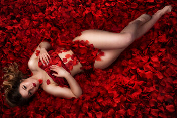AMERICAN BEAUTY