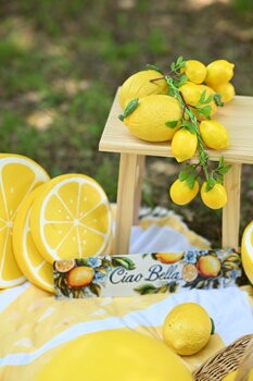 🍋 La Dolce Lemonata – włoska sesja lemoniadowa! 🇮🇹☀️