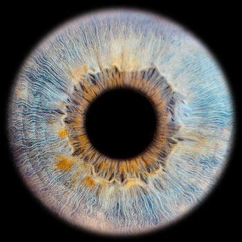 Zdjęcie tęczówki oka