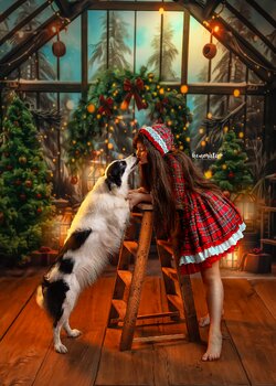 🎄 Christmas Mini Sessions 2025 🎄