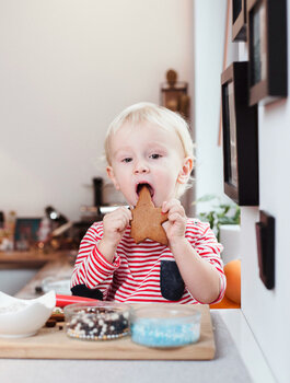 Domowa sesja świąteczna