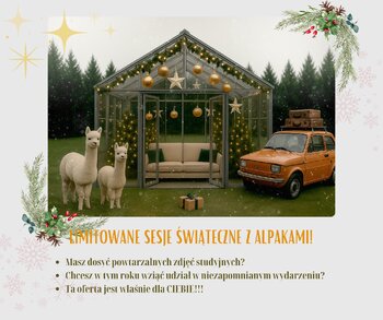 LIMITOWANE SESJE ŚWIĄTECZNE Z ALPAKAMI 2025! 