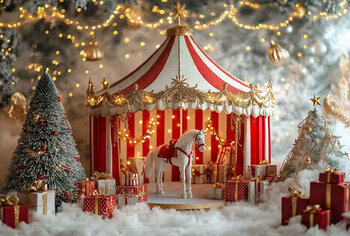 Weihnachtsshootings Fine Art