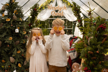 Sesja świąteczna 2025r. w tygodniu