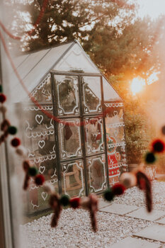 Mini sesje świąteczne w szklarni i domku