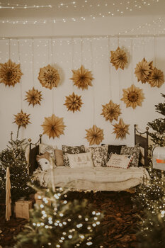 Mini sesje świąteczne 2025 Leśny Czar 