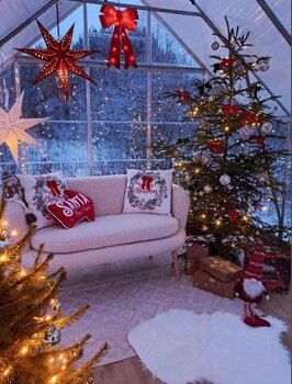 Sesja Świąteczna w Szklarni