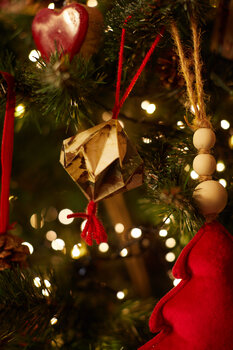 Christmas photoshoot 2025