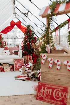 Sesja Świąteczna w szklarni