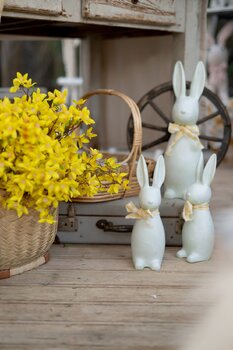 Sesja Wiosenna Wielkanoc