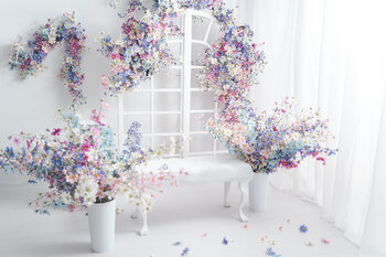 Sesje Studyjne -  Dzień Mamy