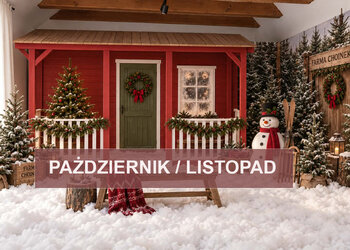 🎄Sesja świąteczna 2026🎄