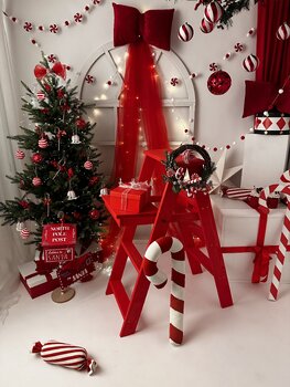 Sesje świąteczne 2025