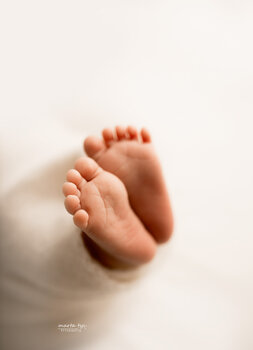 Czułe opowieści - SESJA NOWORODKOWA