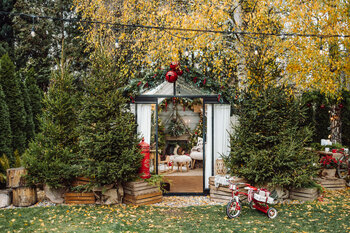 Mini sesja świąteczna w szklarni Warszawa 2025 WAWER