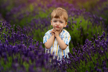 Mini lawendowe sesje - czerwiec/lipiec :)