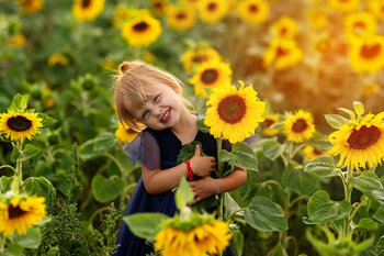 Sesje słonecznikowe - druga połowa lipca/sierpień