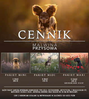 Sesja zdjęciowa 