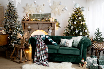 Christmas Mini session