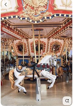 Sesja Świąteczna W STUDIU 