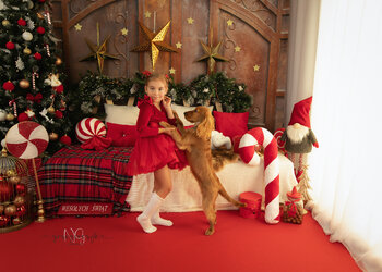 Sesja świąteczna (bożonarodzeniowa)