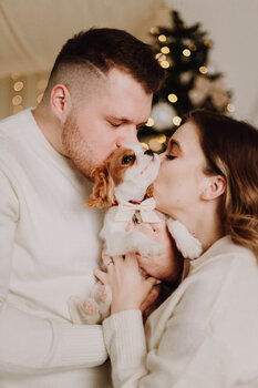 MINI SESJE ŚWIĄTECZNE 2025