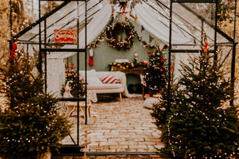 🎄 Mini sesja Świąteczna w Szklarni 🎄Warszawa