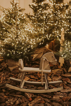 Mini sesja ŚWIĄTECZNA - Studio Leśny Czar Mała Noc