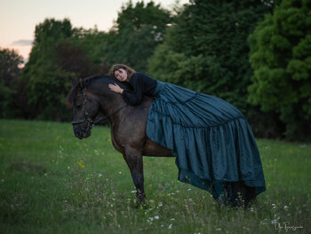 Sesja zdjęciowa z koniem