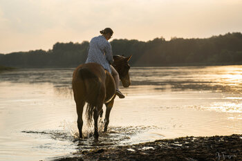 Sesja zdjęciowa z koniem