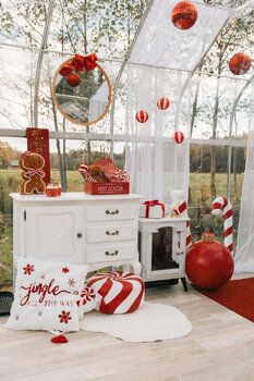 Wynajem szklarni do sesji zdjęciowej