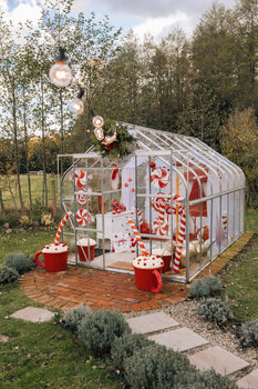 Wynajem szklarni do sesji zdjęciowej