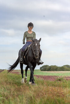 Horse Session