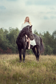 Horse Session