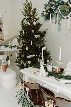 Świąteczne mini sesje⭐️