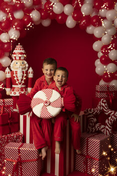 CHRISTMAS MINI SESSION 2024