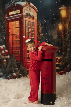 CHRISTMAS MINI SESSION 2024