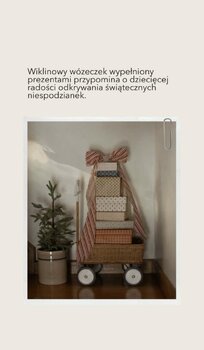 ŚWIĄTECZNE MINI SESJE  STUDIO AGAPI