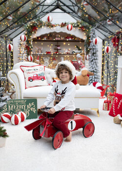 Mini sesje Świąteczne w szklarni Legionowo