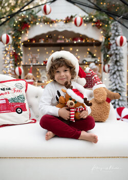 Mini sesje Świąteczne w szklarni Legionowo