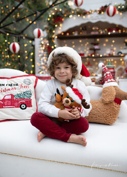 Mini sesje Świąteczne w szklarni Legionowo