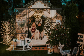 Sesje świąteczne w szklarence 2025🎄❄️